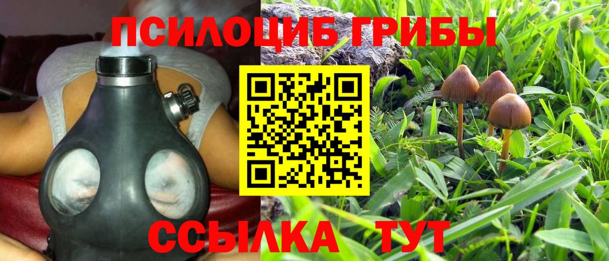 как найти   Галлюциногенные грибы мицелий  Псилоцибиновые грибы Magic Shrooms  Вход с VPN  Прохладный 